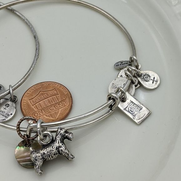 Alex and Ani Rafaleian Silver Dog Int. E Bracelets - Picture 8 of 8